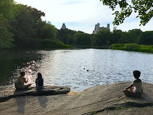 Enjoying the outdoors in NYC - Central Park